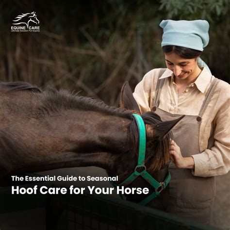 Seasonal Horse Grooming Guide: Year-Round Care for Your Horse - balustradellc