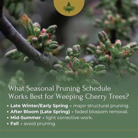 Seasonal Pruning Schedule for Family and Small … - raincitystudios.com