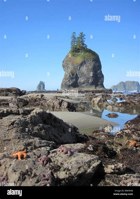 SeaStack | The Geography Site - wintechmobiles.com