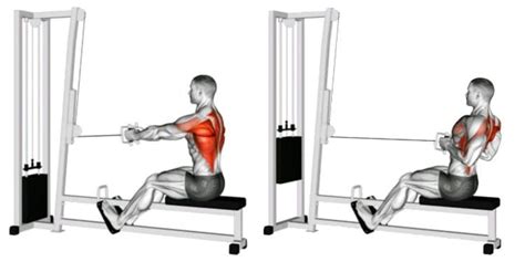 Seated Cable Row (close grip / V-handle) Latihan tarikan pakai mesin ... - balustradellc