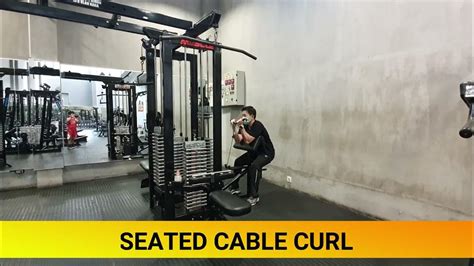 SEATED CABLE ROW by Coach Erwin WWFIT - balustradellc