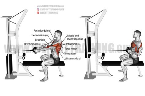 Seated Cable Row Tutorial Stop Using Your Arms - balustradellc