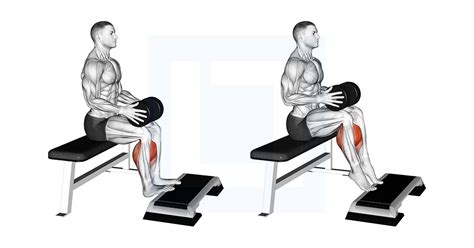 Seated Calf Raise | Techniques & Benefits - Arsenal … - balustradellc