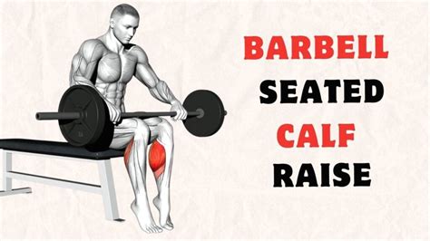 Seated Calf Raise Tutorial - Proper Form and Technique - balustradellc