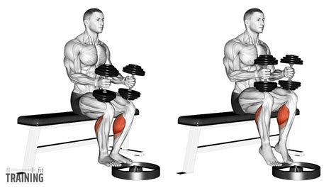 Seated Calf Raise Video Exercise Guide - Muscle - balustradellc
