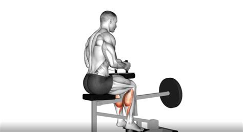 Seated Calf Raises: How-to, Tips, Mistakes, Alternatives - balustradellc