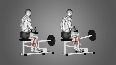 Seated Calf Raises | How to perform - balustradellc