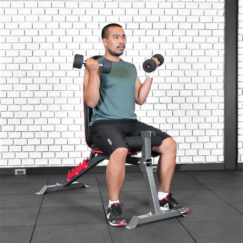 Seated Dumbbell Bicep Curl Exercise Form - balustradellc