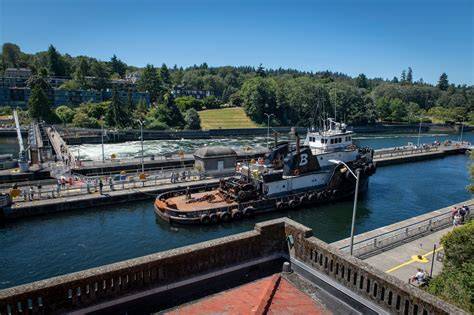 Seattle District > Missions > Civil Works > Programs and Projects ... - raincitystudios.com
