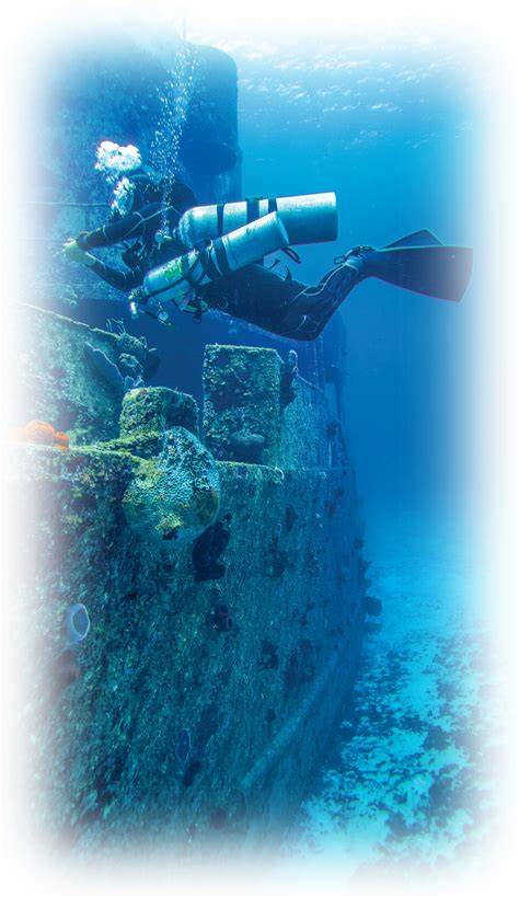 Seaweed Diving Services | Professional Underwater Maintenance … - raincitystudios.com