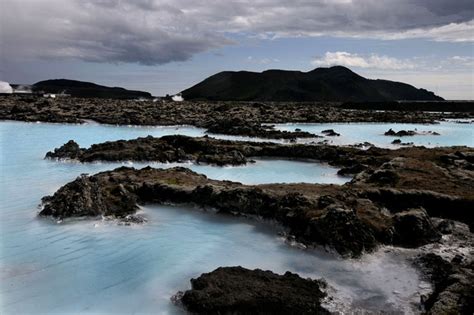 SEAWEED HARVESTING in Iceland - NAT