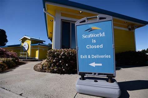 SeaWorld Accused of 'Tarnishing' Sesame Street Brand amid Alleged ... - balustradellc