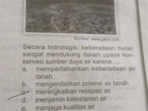 Secara hidrologis, keberadaan hutan mendukung upay... - Roboguru - raincitystudios.com