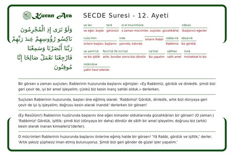 codini.rgarabwor.edu.pl. 