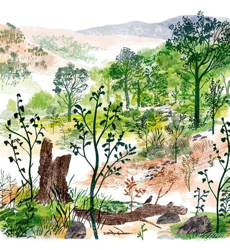 Second Nature: Letting forests regrow themselves - raincitystudios.com