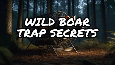 Secrets to Building the Ultimate Wild Boar Trap - balustradellc