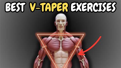 Secrets to sculpting the ultimate V-taper (best exercises) - balustradellc