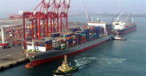 Section 5 in The Tuticorin Port Trust (Licensing of Stevedores ... - balustradellc