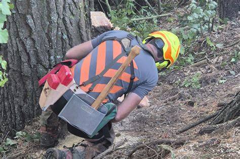 Section Three: Manual Felling - raincitystudios.com