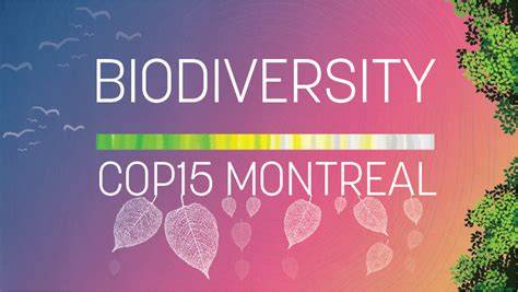 Securing Our Future Through Biodiversity - World Bank … - raincitystudios.com