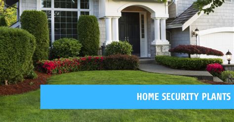 Security Landscaping - Part Five - Additional Types of Thorny Plants - raincitystudios.com