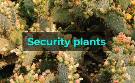 Security Plants for a Safer Home: The Ultimate Guide - raincitystudios.com