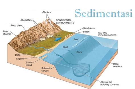 Sedimentasi Laut Adalah - Proses, Jenis-Jenis, Faktor … - raincitystudios.com