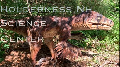 SEE Science Center Dinosaurs - New Hampshire Kids