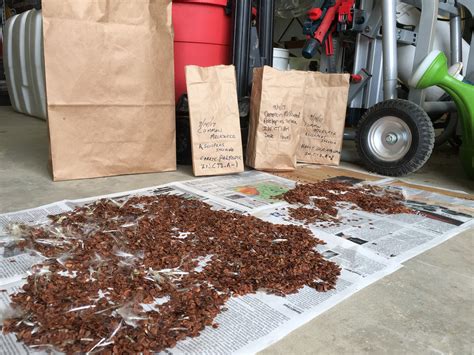 Seed Collection Manual - Pollinator Partnership - raincitystudios.com
