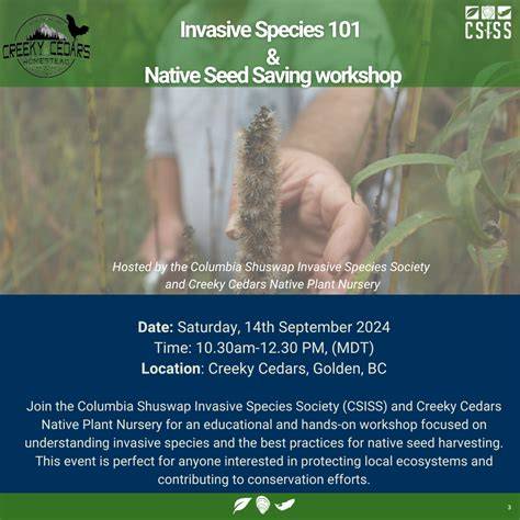 Seed Saving 101 Native Plants - University of Maryland Extension - raincitystudios.com