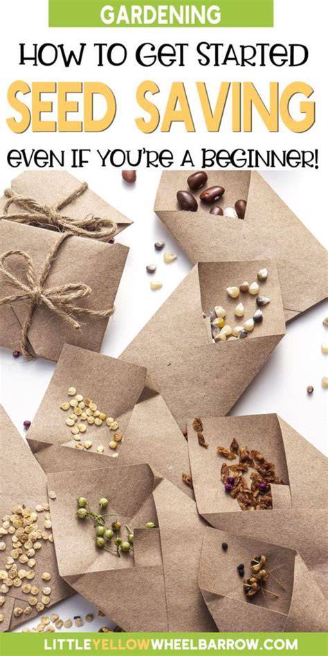 Seed Saving Basics - Penn State Extension - raincitystudios.com