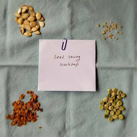 Seed saving - raincitystudios.com