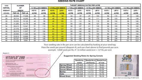 Seeding Rate Calculator - Alberta Grains - raincitystudios.com