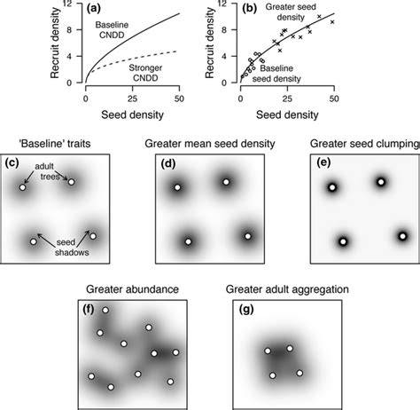 Seedling density dependence regulated by population density - raincitystudios.com
