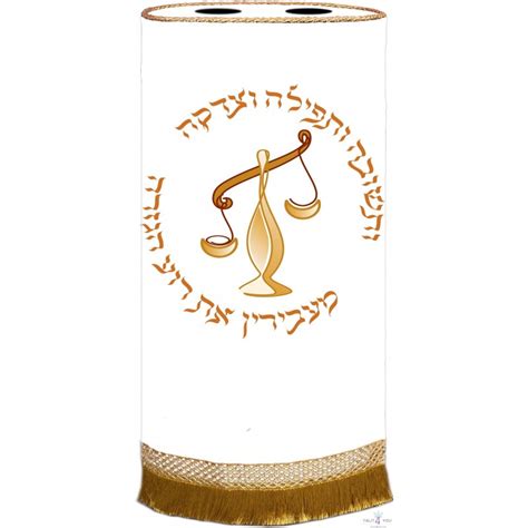 Sefer Shakjir - Computer Science and Technology Graduate - wintechmobiles.com