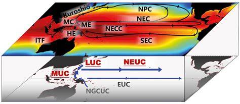 Seismic shifts in oceanic understanding - Nature - raincitystudios.com