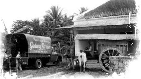 Sejarah garam - Wikipedia Bahasa Melayu, … - raincitystudios.com