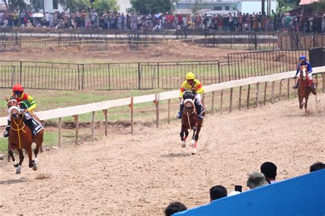 Sejarah Kuda Pacu di Indonesia | PDF - Scribd - balustradellc