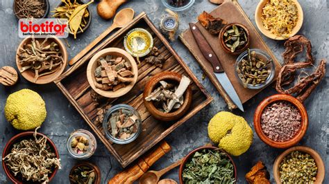 SEJARAH OBAT HERBAL DIDUNIA | niramailani - wintechmobiles.com