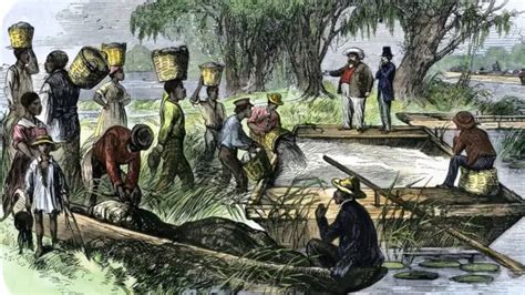 Sejarah perbudakan - Wikipedia bahasa Indonesia, ensiklopedia bebas - wintechmobiles.com