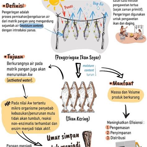 Sejarah Singkat Proses Pengeringan | Download … - wintechmobiles.com
