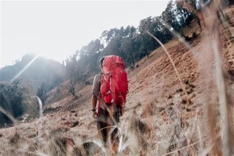 Sekilas Mountaineering dan 4 Teknik Dasarnya - Blog - balustradellc