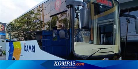 SELEBGRAM IMUT bus ML & Selebriti bugil tertarik banget Pornhub 4K pebisnis online dewasa image 1