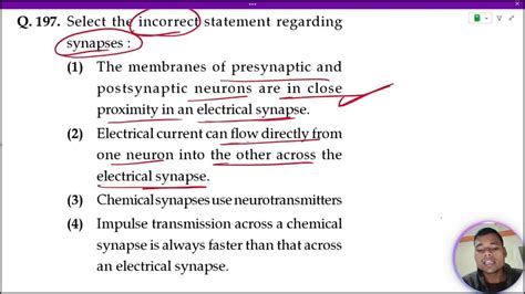 Select the incorrect statement regarding synapses:1.Impulse ... - muktibox.com