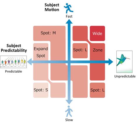 Selecting Focus Area | Focus Setting Guide | Sony - balustradellc