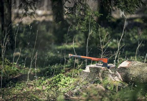 Selecting the Perfect Tree Axe for Arborists - balustradellc