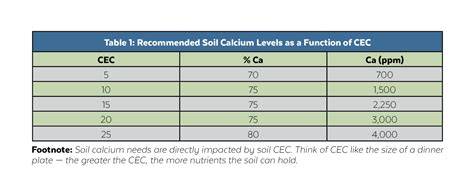 Selecting the Right Calcium Source for Your Soil - raincitystudios.com