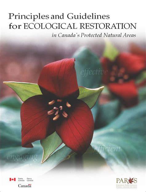 Selection of restoration guidelines (of relevance to protected ... - IUCN - raincitystudios.com