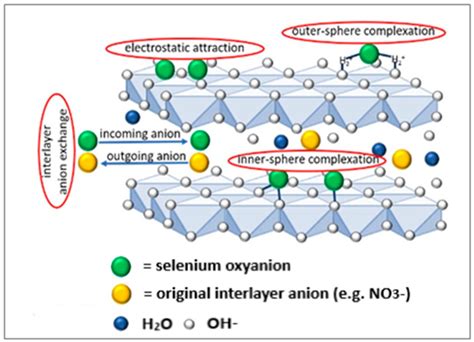 Selenium Speciation In Environmental And Biological Systems Using ... - wintechmobiles.com
