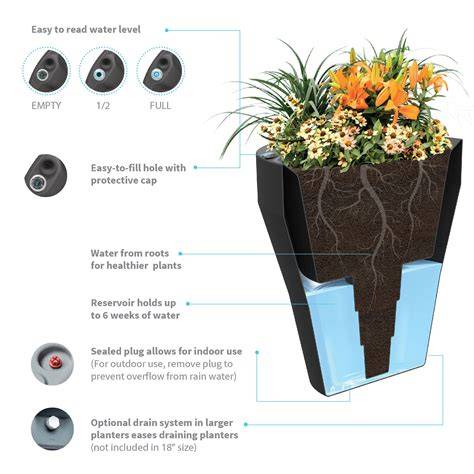 Self Watering Planters - DIY Demo, How They Work, … - raincitystudios.com